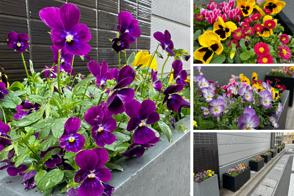 ビル横に設置している花壇の写真